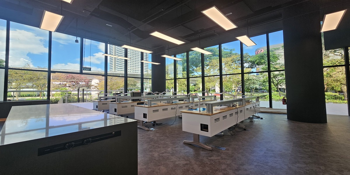 Dontia Alliance Perennial Business City