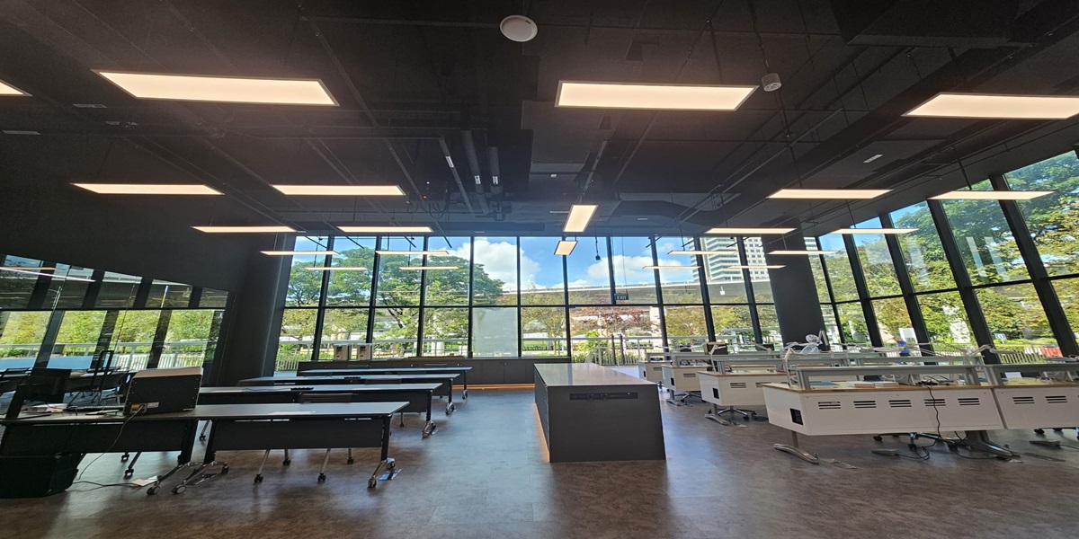 Dontia Alliance Perennial Business City